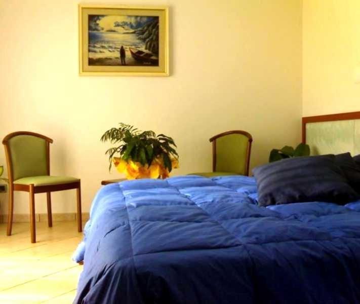 Sea Garden Hotel أكوابيسا المظهر الخارجي الصورة